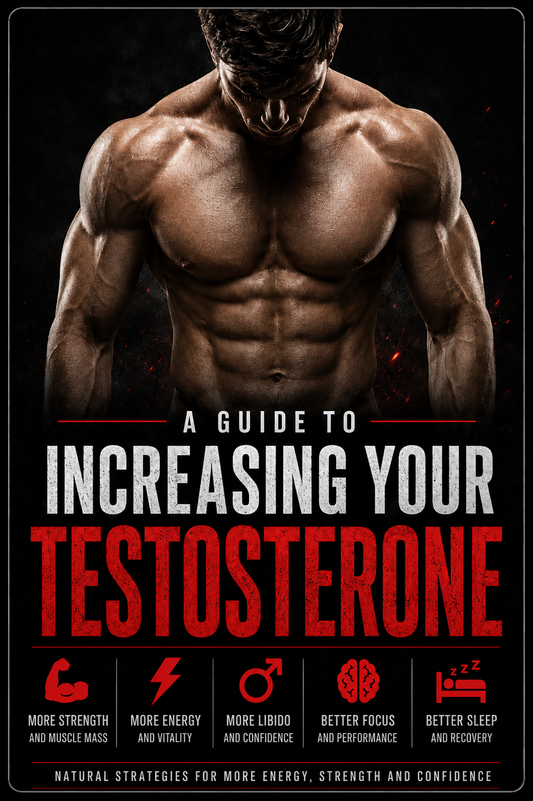 Guide to Increasing Testosterone Levels